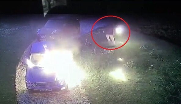 Tưới xăng đốt ô tô của người khác, kẻ gian bén lửa suýt bị thiêu sống