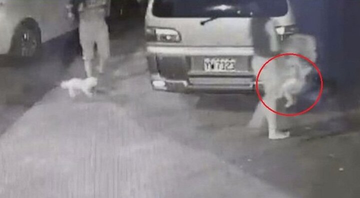 Clip: Mẹ lái xe tông cột điện, bỏ mặc con bị xuất huyết não để ôm cún cưng vào viện