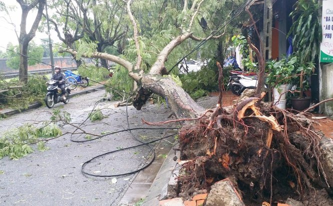 Áp thấp nhiệt đới giật cấp 8 đổ bộ Hà Tĩnh - Quảng Bình