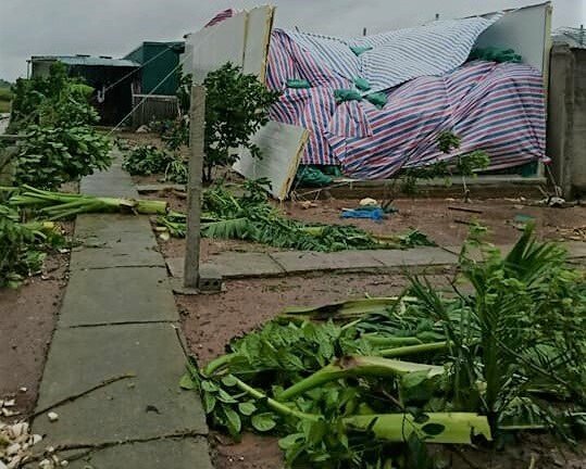 Lốc xoáy ở Thái Bình: 4 người bị thương, nhà đổ sập, tốc mái