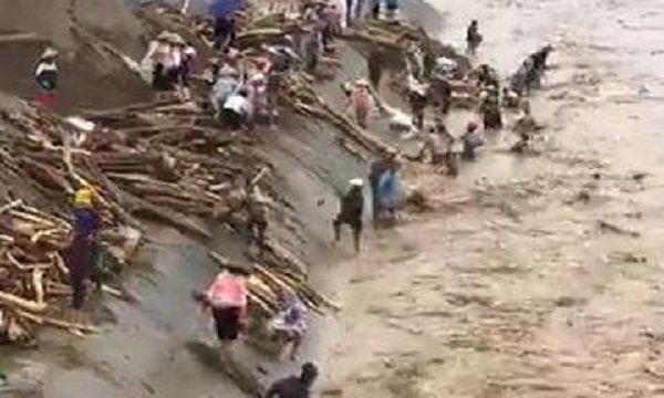 Clip: Lũ cuồn cuộn chảy xiết, dân Yên Bái vẫn liều lĩnh lao ra vớt củi