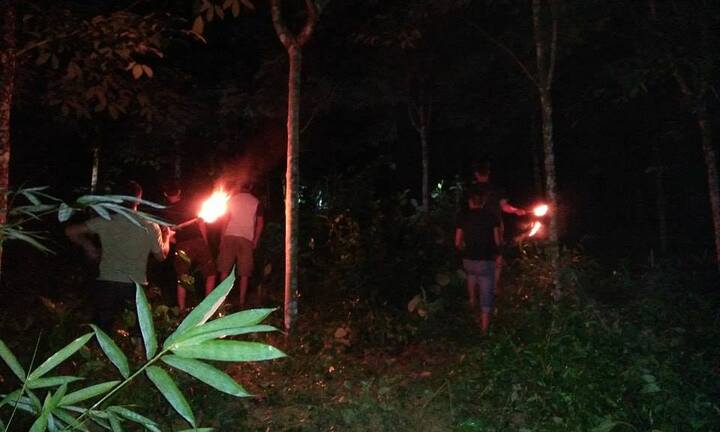 Dân Nghệ An trắng đêm đánh trống, đốt lửa xua đuổi đàn voi