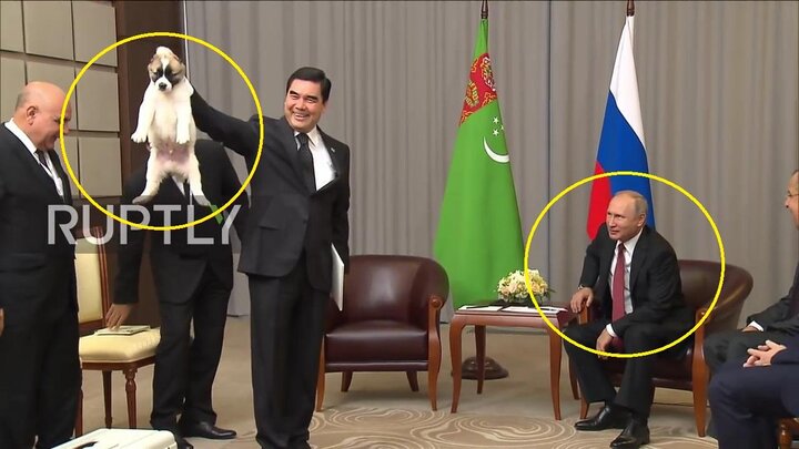 Hành động đáng yêu chứng minh Tổng thống Putin là người cuồng vật nuôi