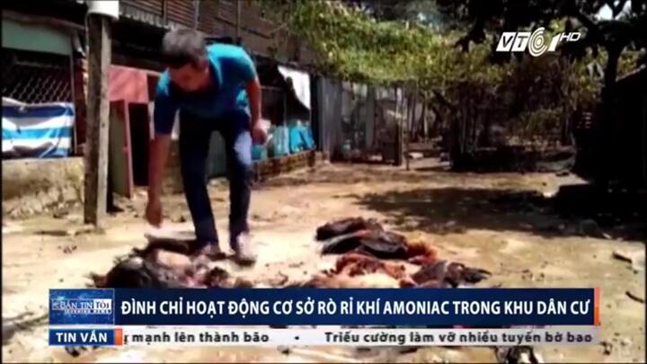 Công ty để rò khí amoniac khiến 4 người nhập viện, chó gà chết la liệt bị xử lý ra sao?