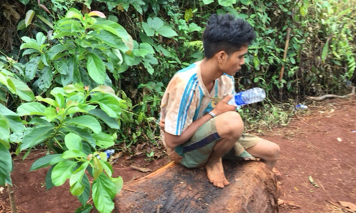 Truy bắt nhóm thanh niên cưa cây thủy tùng trên 500 tuổi