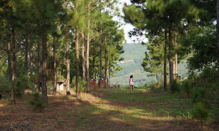 Đổi gió về Đông Triều thưởng ngoạn cảnh quê thơ mộng tại đồi Khe Chè