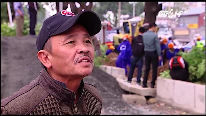 Người Hà Nội xót xa tiếc nuối hàng cây cổ thụ trên đường Phạm Văn Đồng