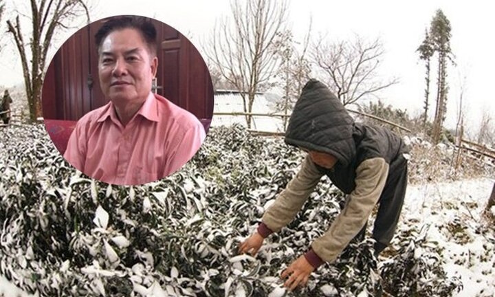 Chuyên gia: 'Mùa đông năm nay sẽ rét đậm, rét hại, rét khốc liệt hơn'