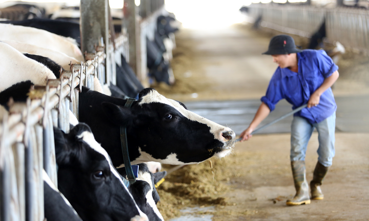 Điều gì khiến Mộc Châu Milk ghi điểm với người tiêu dùng Việt