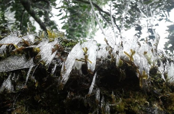 Băng giá xuất hiện ở Fansipan: Dấu hiệu của mùa đông năm nay sẽ lạnh nhất trong 100 năm qua?