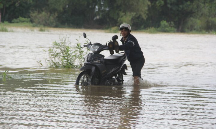 Lũ hoành hành miền Trung: 1 người chết, 250 con heo bị cuốn trôi