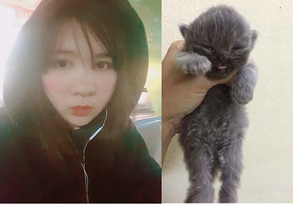 Cô gái thẳng thừng chia tay 'người yêu tương lai' vì chê thú cưng vừa hôi vừa lắm lông