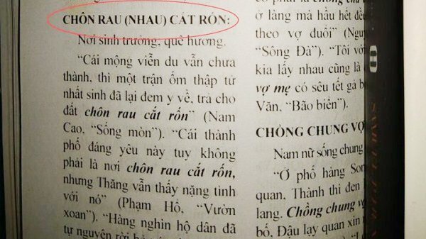 Tranh cãi câu thành ngữ 'chôn rau cắt rốn' hay 'chôn nhau cắt rốn': NXB Giáo dục VN lý giải