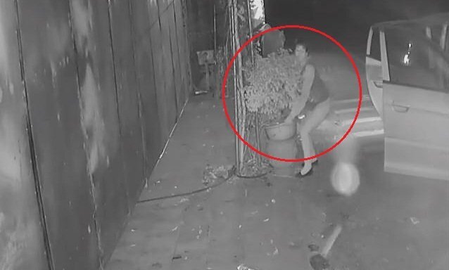 Clip: 'Quý bà' đi ô tô bê trộm chậu hoa của nhà dân lúc rạng sáng