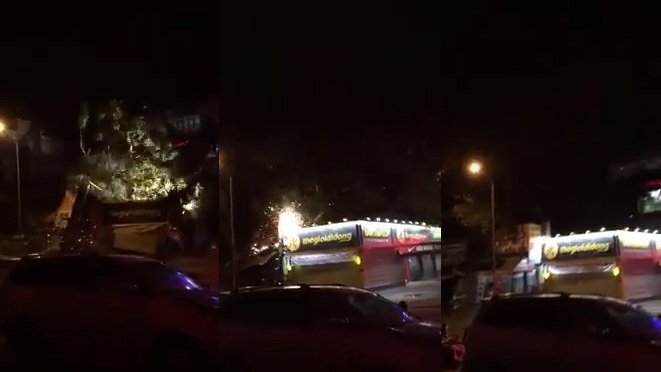 Video: Cây đa cổ thụ bật gốc đè bẹp nhiều ki-ốt trong đêm ở Đắk Lắk