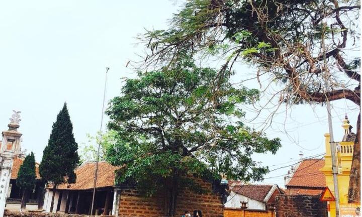 Trở về tuổi thơ với ngôi làng cổ đẹp nhất Việt Nam, chỉ cách Hà Nội 40 km