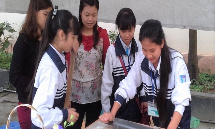 Cô giáo Hà Nội hướng dẫn học sinh làm kẹo lạc, phân bón