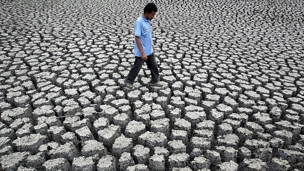 Không có El Nino, 2017 vẫn thuộc top 3 năm nóng kỷ lục