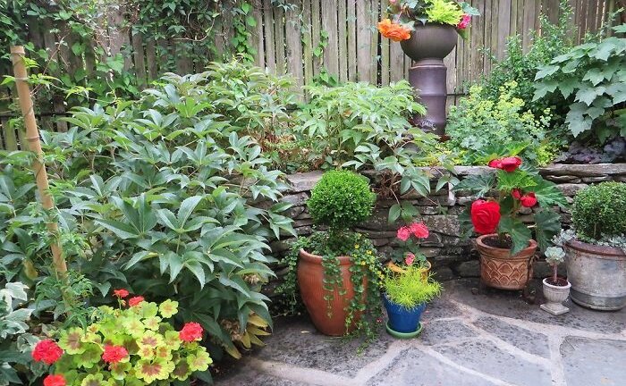 10 mẹo giúp sân vườn nhỏ trở nên rực rỡ, đẹp mắt