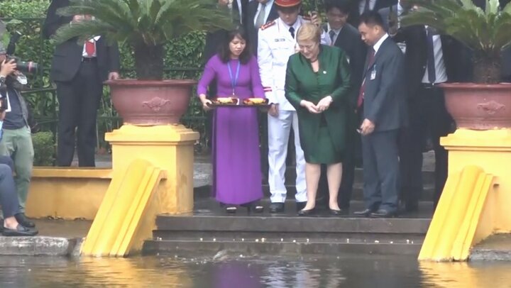 Chủ tịch nước Trần Đại Quang tiếp đón nữ Tổng thống Chile tại Hà Nội