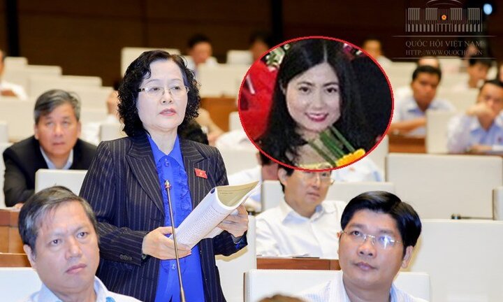 Đại biểu Quốc hội thắc mắc về sự 'mất tích' của 'hot girl' Trần Vũ Quỳnh Anh