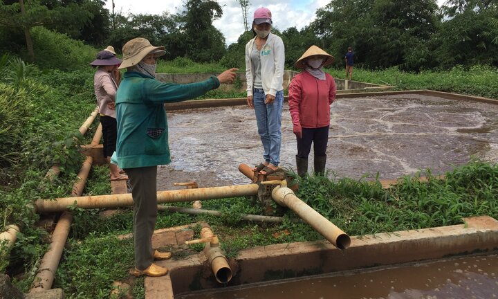 Hơn 200 hộ dân 'tố' nhà máy chế biến mủ cao su gây ô nhiễm