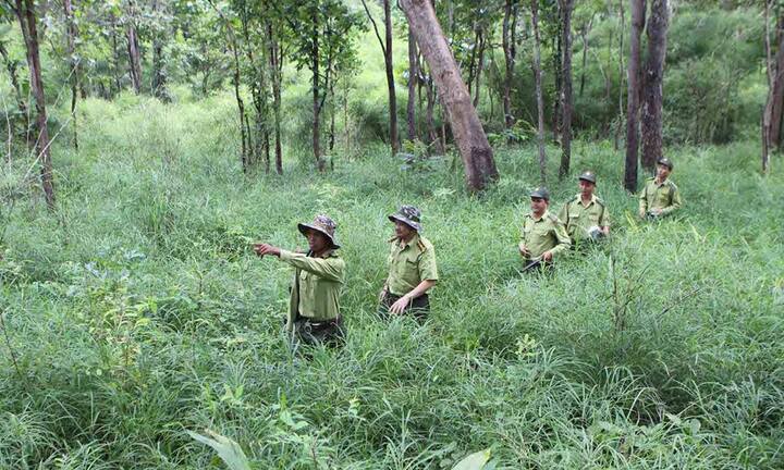 Đắk Lắk làm rõ việc chi phụ cấp kiểm lâm vượt quy định gần 11,4 tỉ đồng