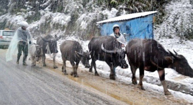 Mùa đông 2017: Rét đậm rét hại sẽ xuất hiện từ sau Giáng sinh