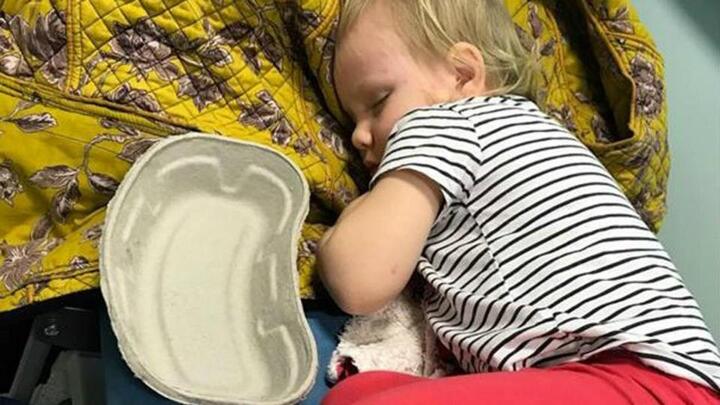 Bị mèo cào, cô bé 3 tuổi suýt chết do hội chứng sốc độc