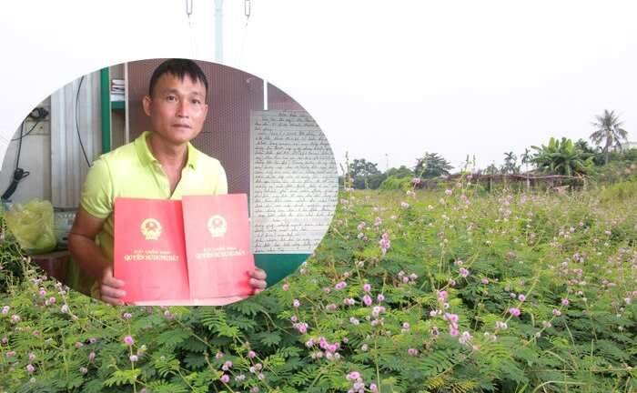 13 năm dân mòn mỏi đi tìm ‘đất thật’: Hải Phòng chỉ đạo làm rõ