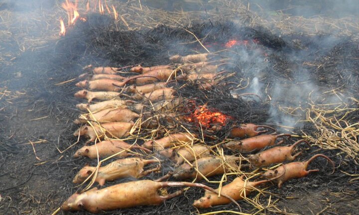 Nhà văn Nguyễn Quang Thiều: Còn mê đắm thịt chuột, thịt chó, tiết canh, đường đến thế giới văn minh còn vô tận