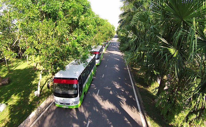 Điểm dã ngoại cuối tuần cách Hà Nội 20km hút hồn các mẹ bỉm sữa