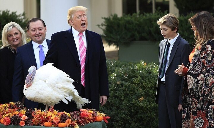 Video: Tổng thống Trump lần đầu làm lễ xá tội cho gà tây ở Vườn Hồng