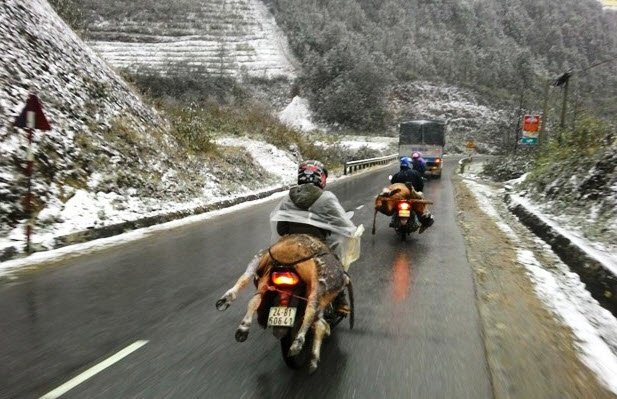 Ngày mai miền Bắc rét đậm, rét hại: Sapa còn 4°C, xuất hiện băng giá