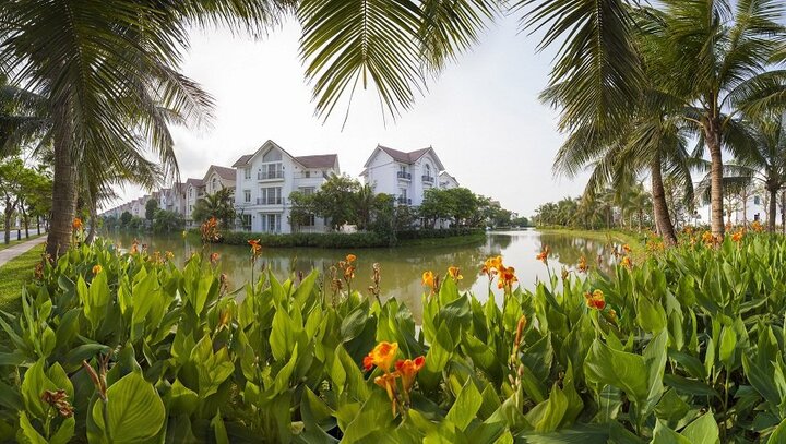 Giới đầu tư nhà giàu Hà thành đang đổ tiền vào đâu?