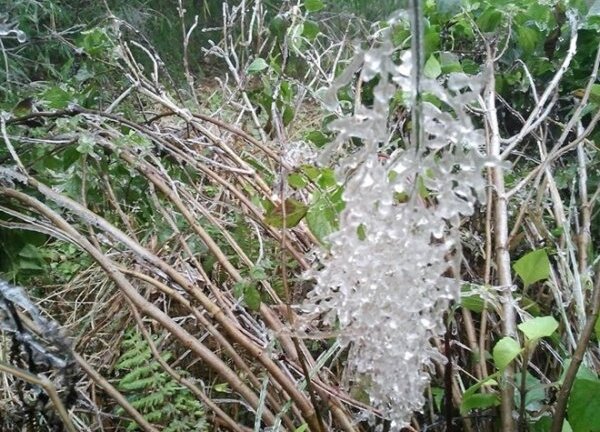 Đỉnh Fansipan âm 6°C, Mẫu Sơn có thể xuất hiện băng giá