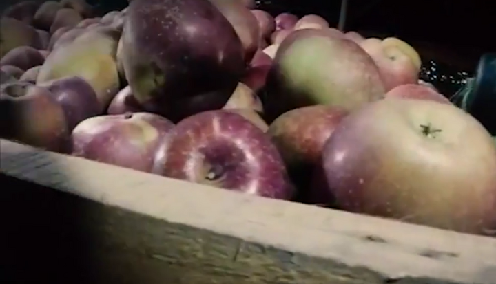 Công nghệ 'hô biến' hoa quả Trung Quốc thành đặc sản Việt giá rẻ bán tràn lan trên phố