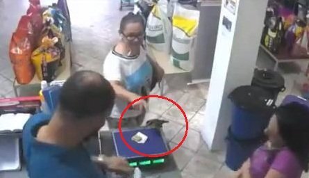 Clip: Bi hài cảnh chim 'táo tợn' cướp tiền trong cửa hàng rồi 'cao chạy xa bay'