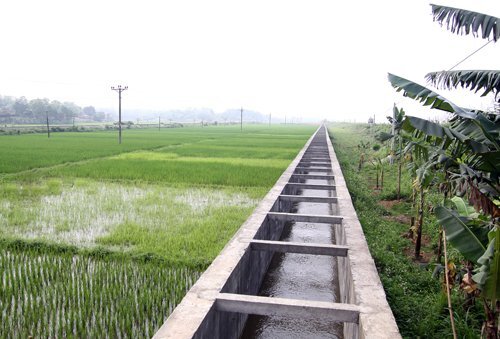 Người đàn ông chết bất thường dưới mương thủy lợi