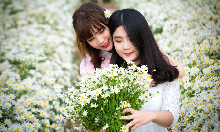 Ảnh: Nam thanh nữ tú đua nhau chụp ảnh cúc họa mi trong giá rét