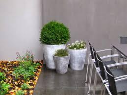 Cách làm chậu cây trồng 'độc nhất vô nhị' được biến hóa từ xi măng