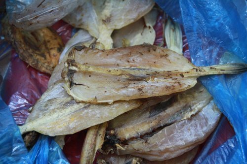 Cẩn trọng nọc độc cá nóc chết người khi ăn hải sản, cá biển khô