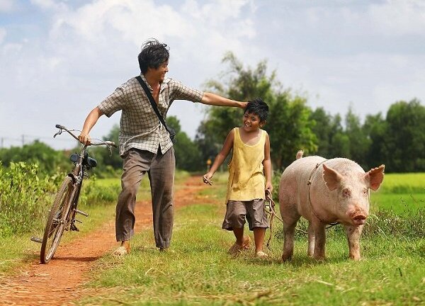 5 bộ phim bom tấn về gia đình đồng loạt công phá các rạp vào cuối năm