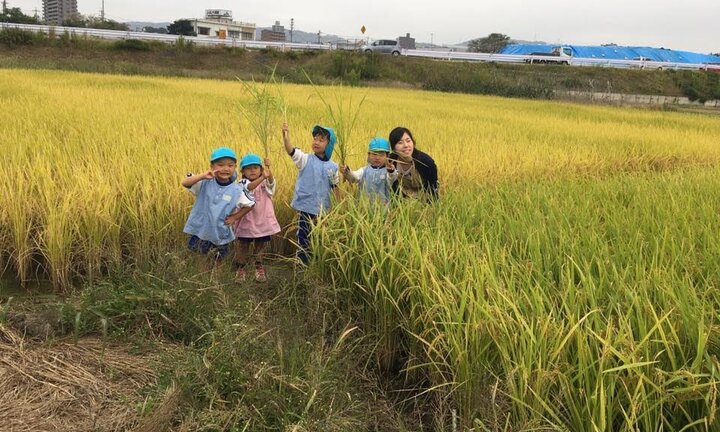 Cộng đồng người Triều Tiên ở Nhật Bản sống thế nào?