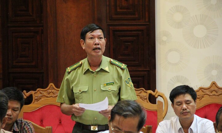 Đại công trường khai thác gỗ trái phép ở Đắk Lắk: Chi cục Kiểm lâm cung cấp thông tin mới