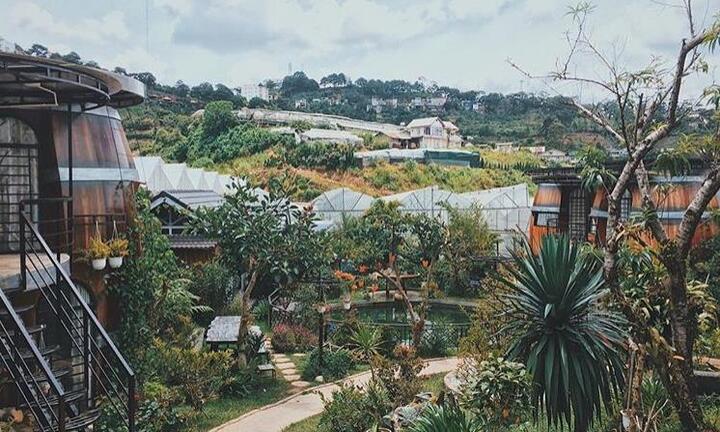 Có gì tại homestay thùng rượu vang ở Đà Lạt khiến giới trẻ đứng ngồi không yên?