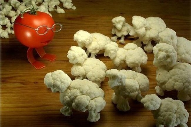 Cười té ghế với 30 ý tưởng sáng tạo điên rồ của các 'thánh siêu rảnh'