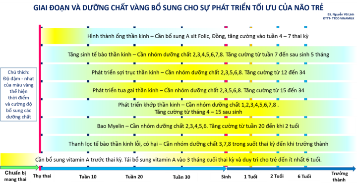 Dinh dưỡng vàng cho phát triển tối ưu não bộ trong những năm tháng đầu đời