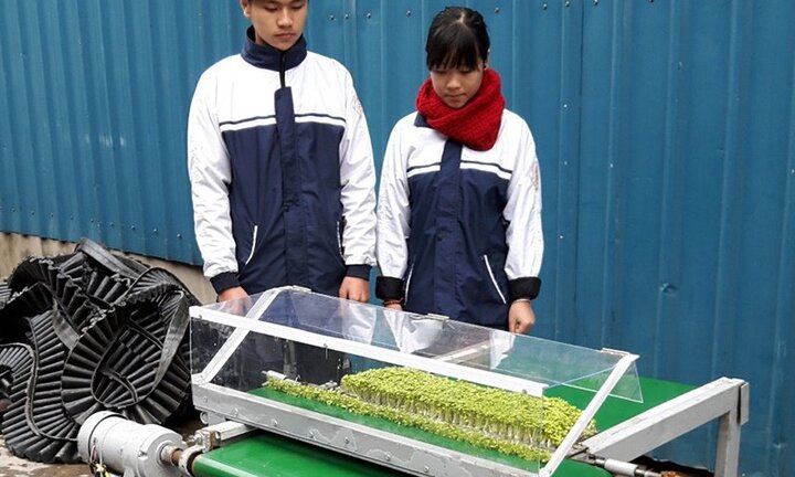 Hai học sinh chế tạo máy cắt rau mầm tự động