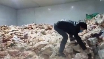 Đà Nẵng: Cận cảnh 15 tấn thịt hôi thối sắp lên bàn nhậu